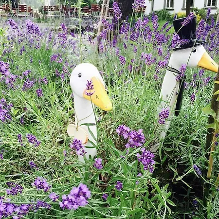 Hotel Dein Gutshof Görlitz