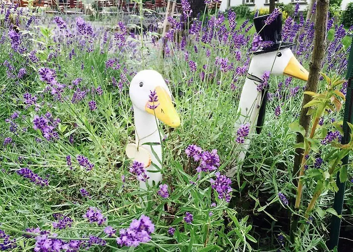 Hotel Dein Gutshof Gorlitz